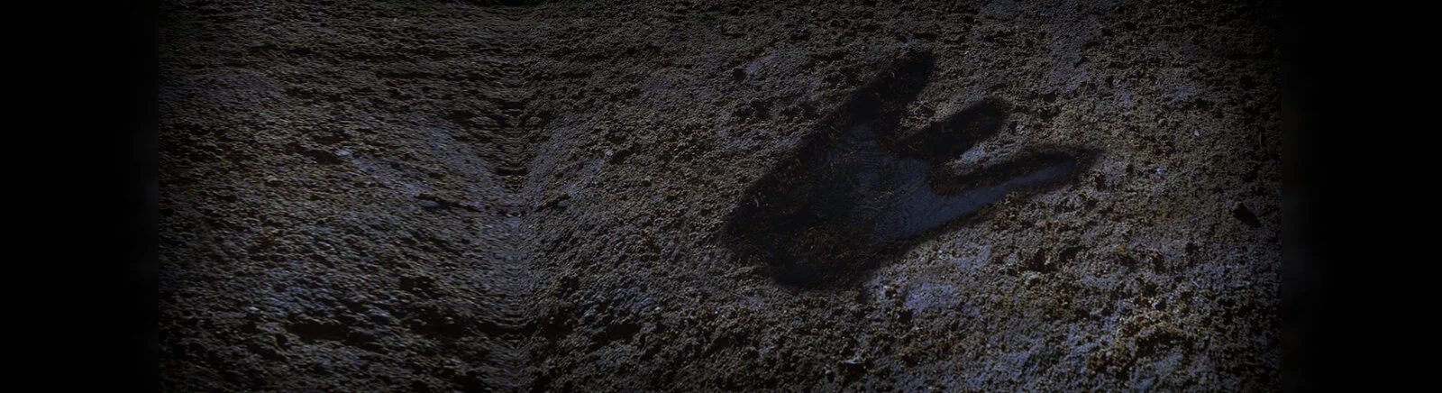 Comprar Close Combat (Close Combat: Prenez le commandement de véritables soldats) barato, descontos de até 90% 🏷️, comparação de preços em diferentes lojas