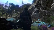 Repopulation