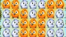 Fluffy Birds - jogo do gênero Três em linha (Match-3)
