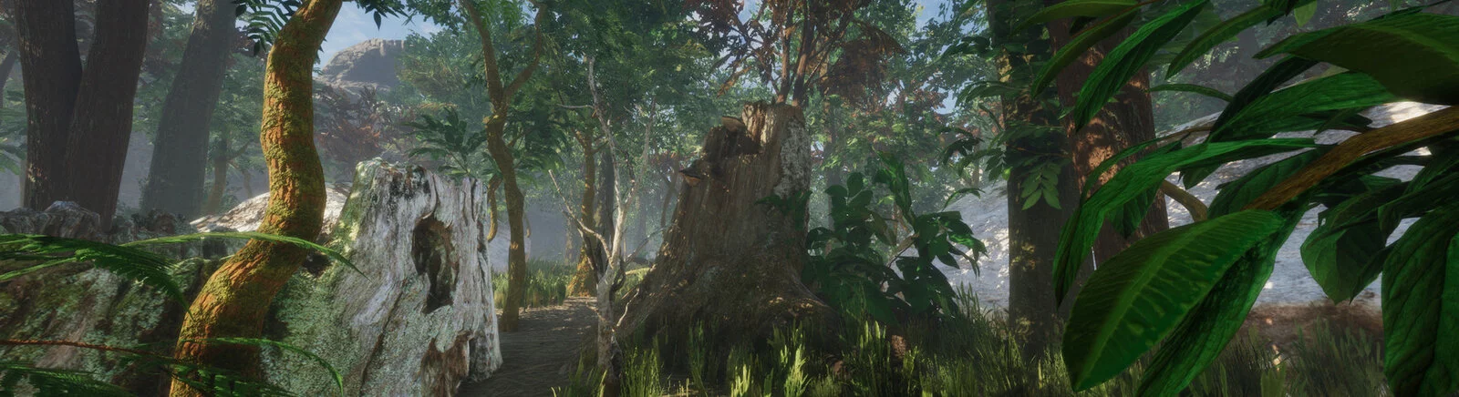 Avaliações positivas sobre Forest (1980) — 0 opiniões