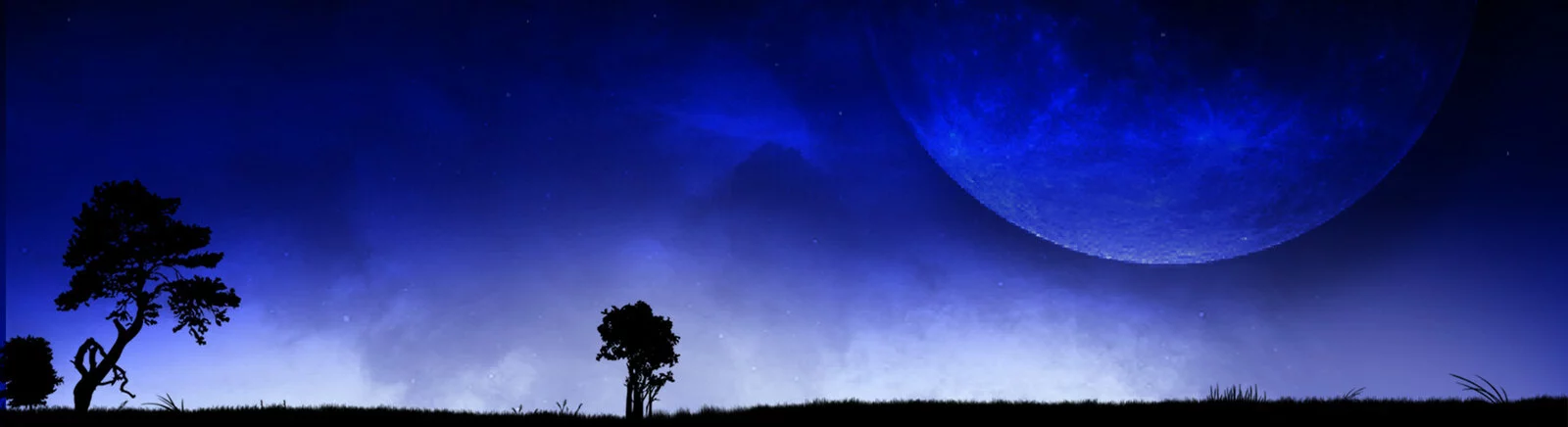 Fórum Star Sky