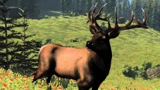 Cabela's North American Adventures - jogo do gênero Jogo esportivo