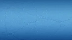 Colin McRae: DiRT 2 é semelhante a Colin McRae: DiRT 2