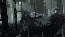 Stomping Land