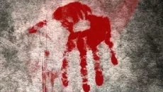 How to Survive 2 é semelhante a How to Survive 2