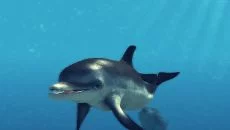 Depth Hunter 2: Deep Dive - jogo do gênero Jogo esportivo