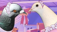 Hatoful Boyfriend: A School of Hope and White Wings