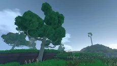 Eco