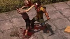 How to Survive 2