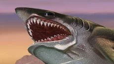 Feed and Grow: Fish é semelhante a Feed and Grow: Fish