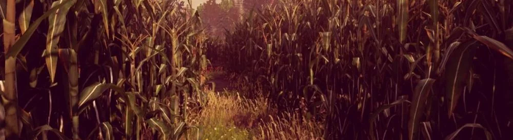 Data de lançamento Maize em diferentes países do mundo