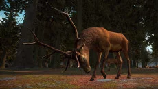 Yore VR - jogo do gênero Realidade Virtual (VR)