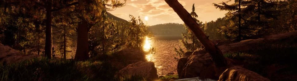 Comprar Reaching for Petals barato, descontos de até 90% 🏷️, comparação de preços em diferentes lojas