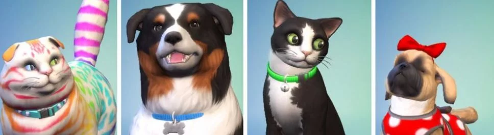 Data de lançamento Sims 4: Cats & Dogs (Sims 4: Cats and Dogs) em diferentes países do mundo