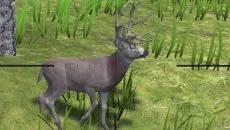Deer Hunter Reloaded - jogo do gênero Jogo esportivo