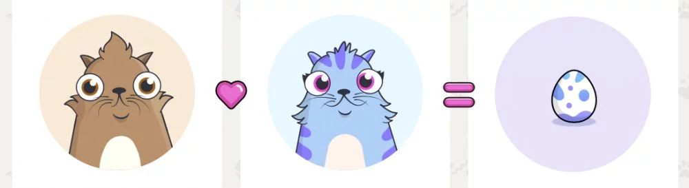 Data de lançamento CryptoKitties em diferentes países do mundo