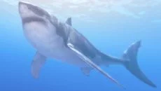 Operation Apex - jogo do gênero Realidade Virtual (VR)