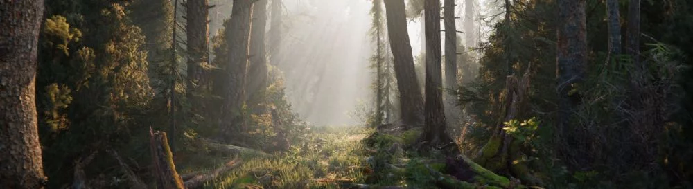 Comprar Book of the Dead barato, descontos de até 90% 🏷️, comparação de preços em diferentes lojas