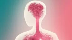 Ori and the Will of the Wisps é semelhante a Ori and the Will of the Wisps