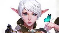 Lineage 2: Arena