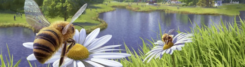 Data de lançamento Bee Simulator em diferentes países do mundo