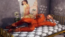 Goose Simulator é semelhante a Goose Simulator