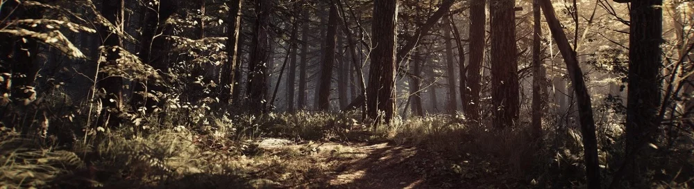 Todas as avaliações e notas Blair Witch — 4 opiniões