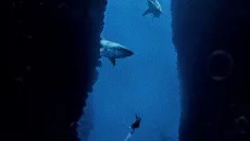 Penumbra: Overture - Episode 1 é semelhante a Penumbra: Overture - Episode 1