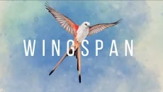 WINGSPAN