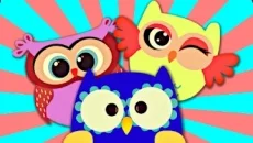 Crazy Owls Puzzle - jogo do gênero Três em linha (Match-3)