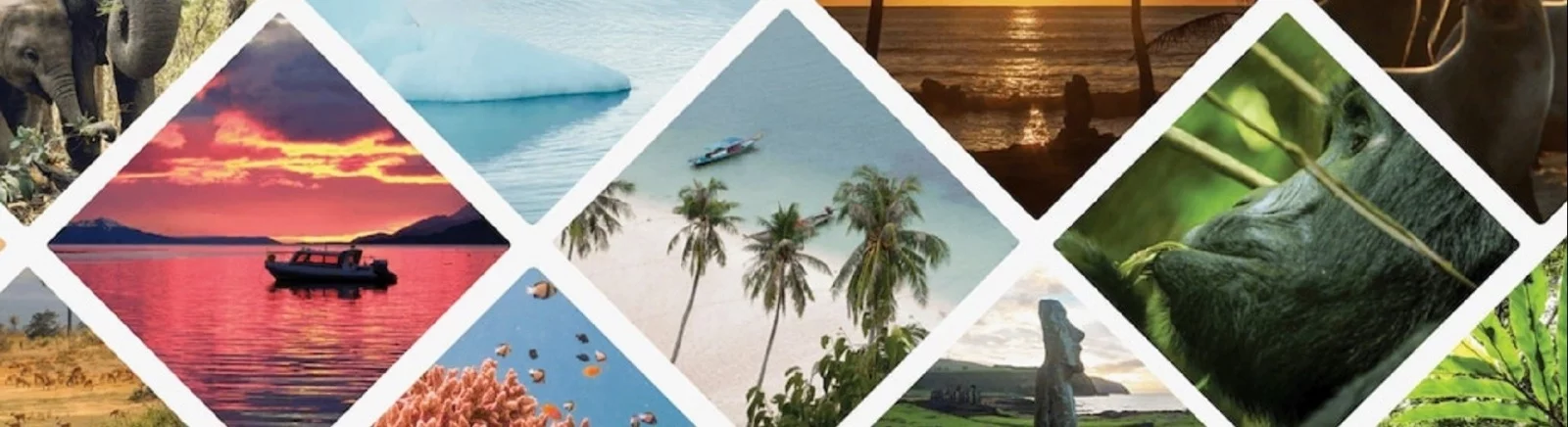 Wanderlust: Transsiberian — Сохранение [Лицензия Gog] / Salvamentos / Trapaças