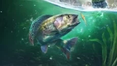 Ultimate Fishing Simulator 2 - jogo do gênero Jogo esportivo