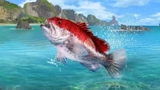 Fishing Clash - jogo do gênero Jogo esportivo