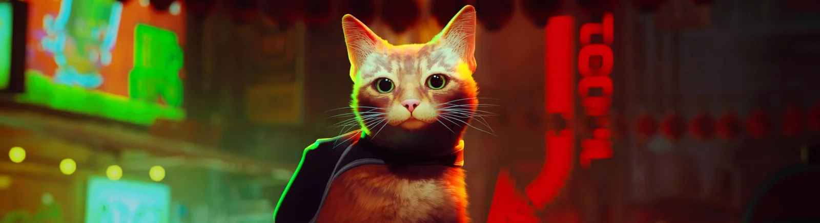 Personagens e jogadores para Stray