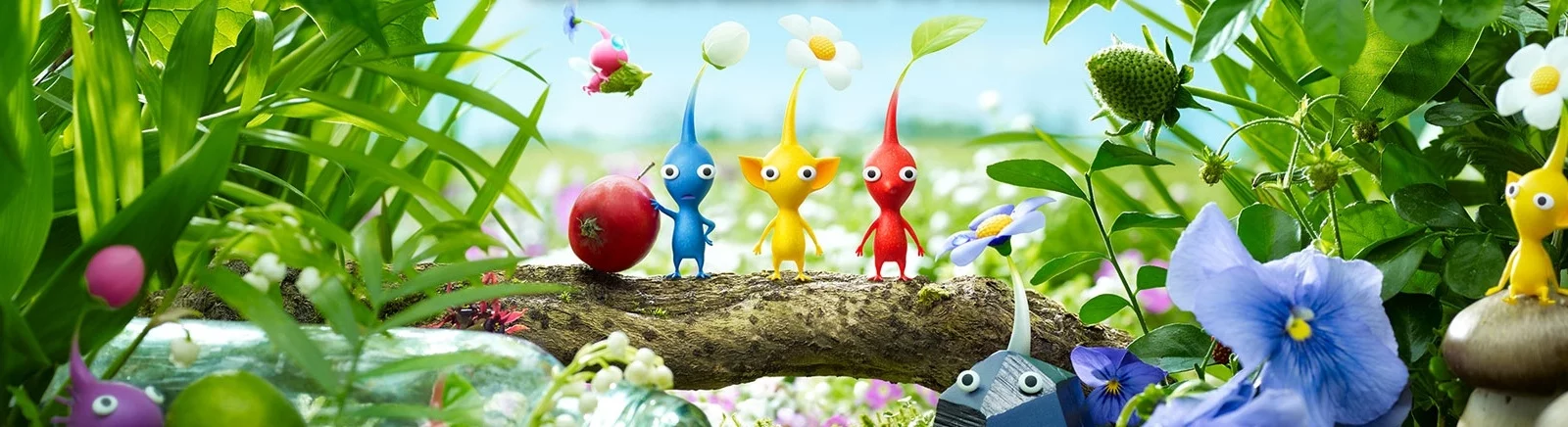Data de lançamento Pikmin 3 Deluxe em diferentes países do mundo