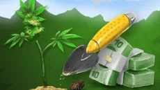 Cannabis Farmer Strain Master - jogo do gênero Realidade Virtual (VR)