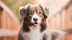 WhamBam Warriors - Puzzle RPG é semelhante a WhamBam Warriors - Puzzle RPG