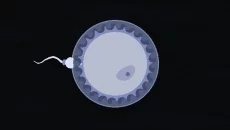 Imagine Lifetimes - jogo do gênero Ponto & Clique