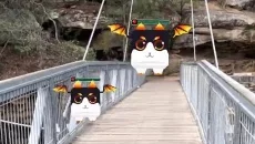 AR Devil: Dragon Shooter 3D - jogo do gênero Realidade Virtual (VR)