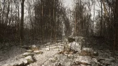 Abandoned