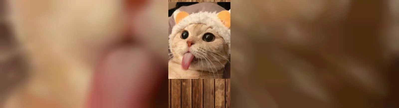 Avaliações negativas sobre Healing Matching Puzzle — 0 opiniões