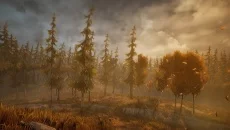 A.I.L.A é semelhante a A.I.L.A