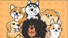 Lucky Puppy - jogo do gênero Três em linha (Match-3)