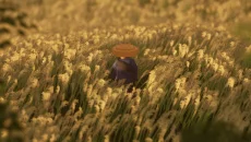 Ronin Trail - jogo do gênero Idade Média