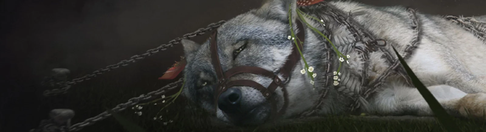 Data de lançamento Soulframe em diferentes países do mundo