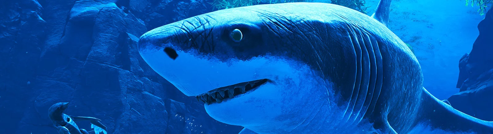 Data de lançamento Glaciered em diferentes países do mundo