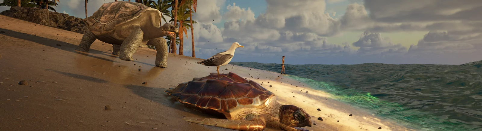 Comprar Eden Island barato, descontos de até 90% 🏷️, comparação de preços em diferentes lojas Comprar Eden Island barato, descontos de até 90% 🏷️, comparação de preços em diferentes lojas