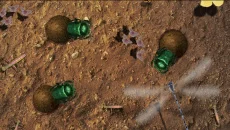 Isopod A RolyPoly Science Game - jogo do gênero Jogo casual