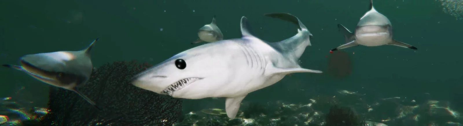 Comprar Death in the Water 2 barato, descontos de até 90% 🏷️, comparação de preços em diferentes lojas