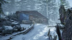 Silence In The Cabin - jogo do gênero Mundo aberto